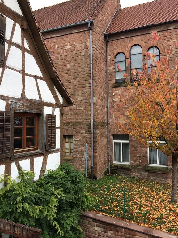 Gite L'Instant Durable Oberbronn Exterior photo